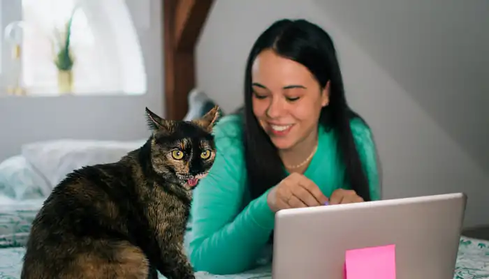 Cat Translator App: Understanding What Is It?