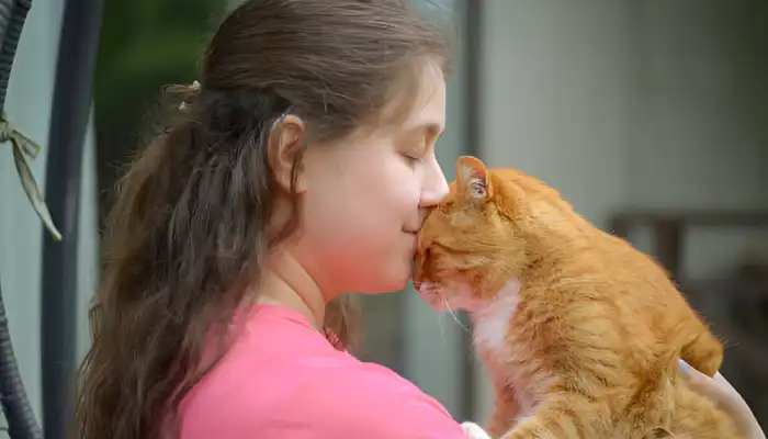 How Do I Say “I am sorry” in Cat Translator?