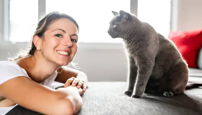 Human to Cat Translator: What Does It Do?